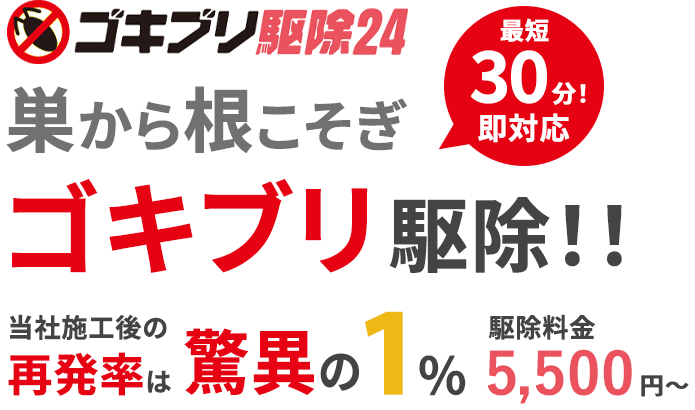巣から根こそぎゴキブリ駆除！最短30分！即対応。当社施工後の再発率は驚異の1%！駆除料金5,500円から。